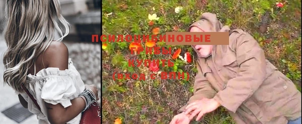 мдпв Покачи