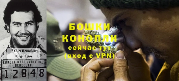 сатива Дегтярск